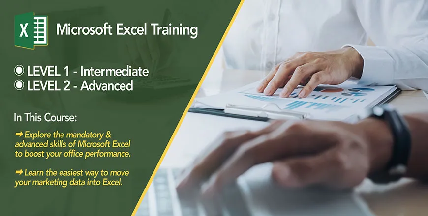 MICROSOFT EXCEL (ADVANCED)